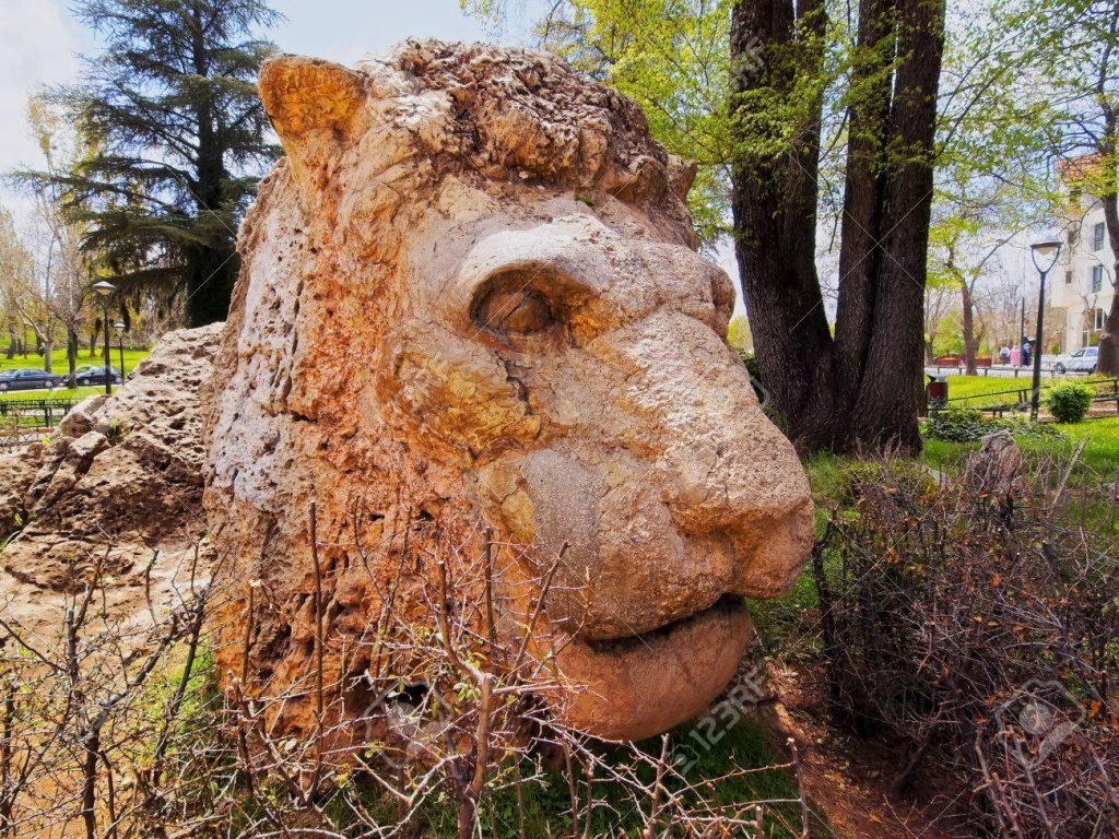 Atlas Lion, Ifrane