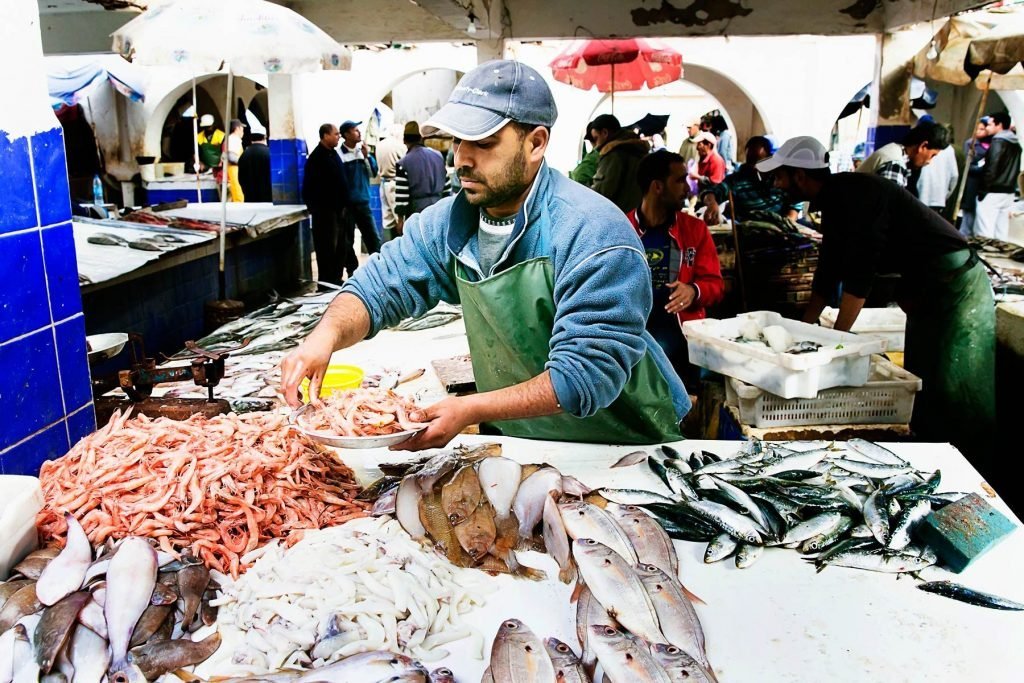 Essaouira fish market