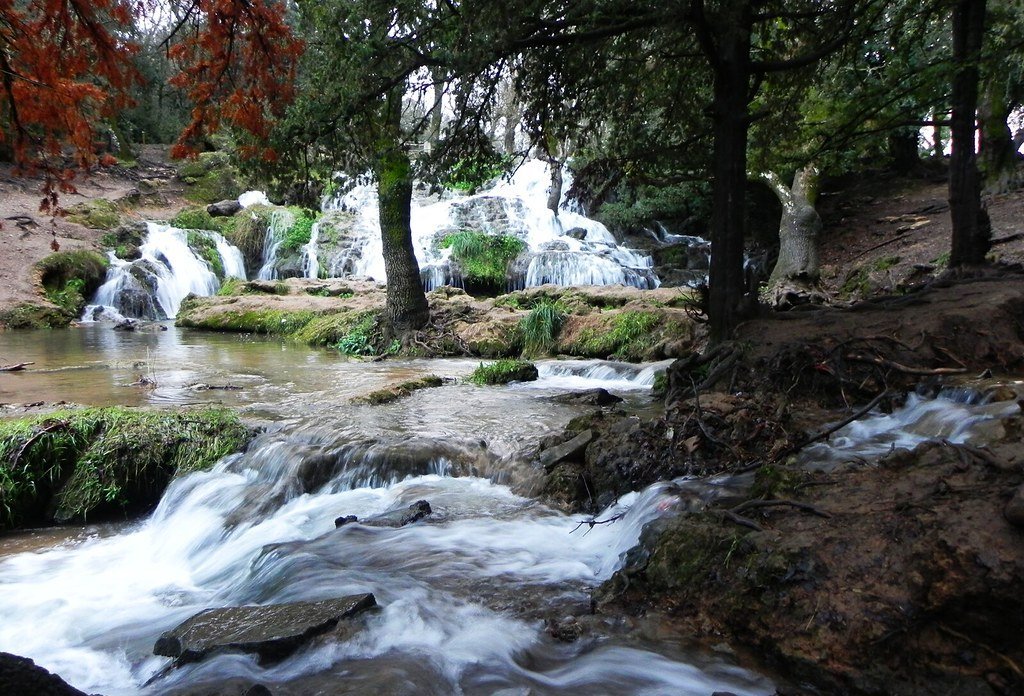 Vittel Spring