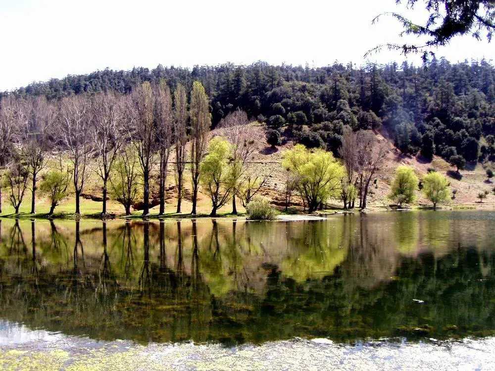 Ifrane Lake