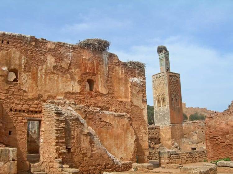 Necropolis of Chellah (Rabat) // Learn About The Roman Ruins in Morocco